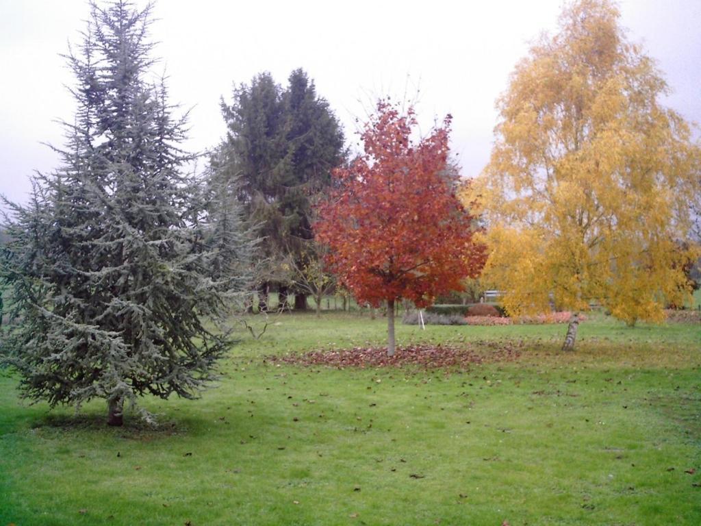 Villa Au Jardin Fleuri Vauxaillon Exterior foto